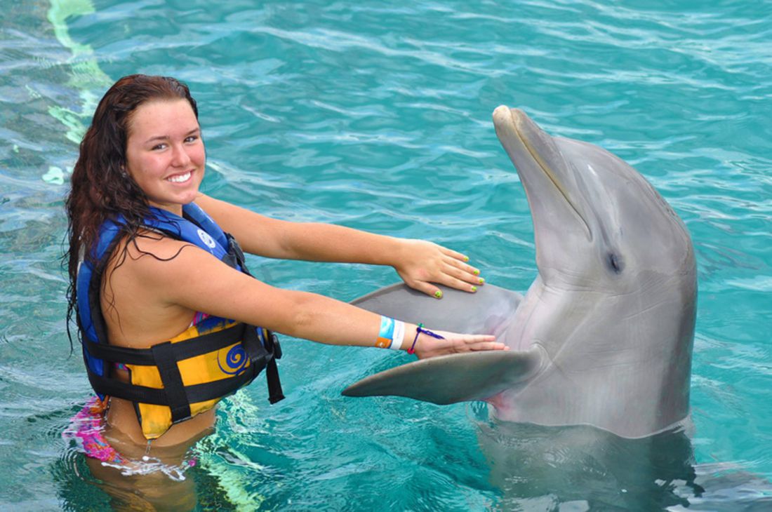 encounter dolphins