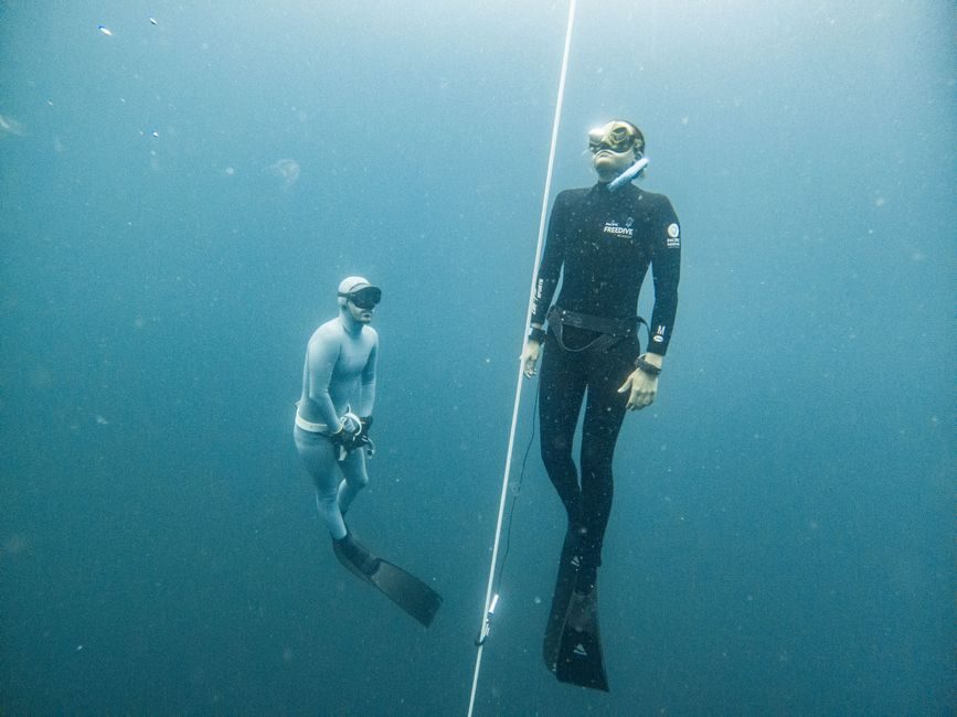 Two freedivers descending beside a safety line in deep blue water