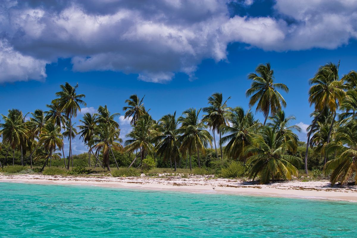 Palm trees lining a white beach beside clear turquoise water